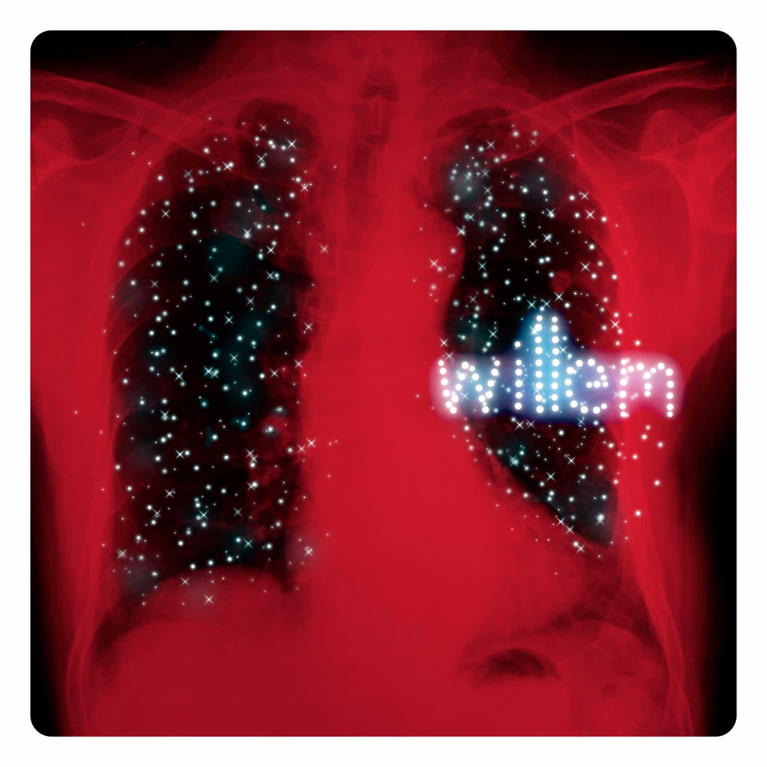 Willem