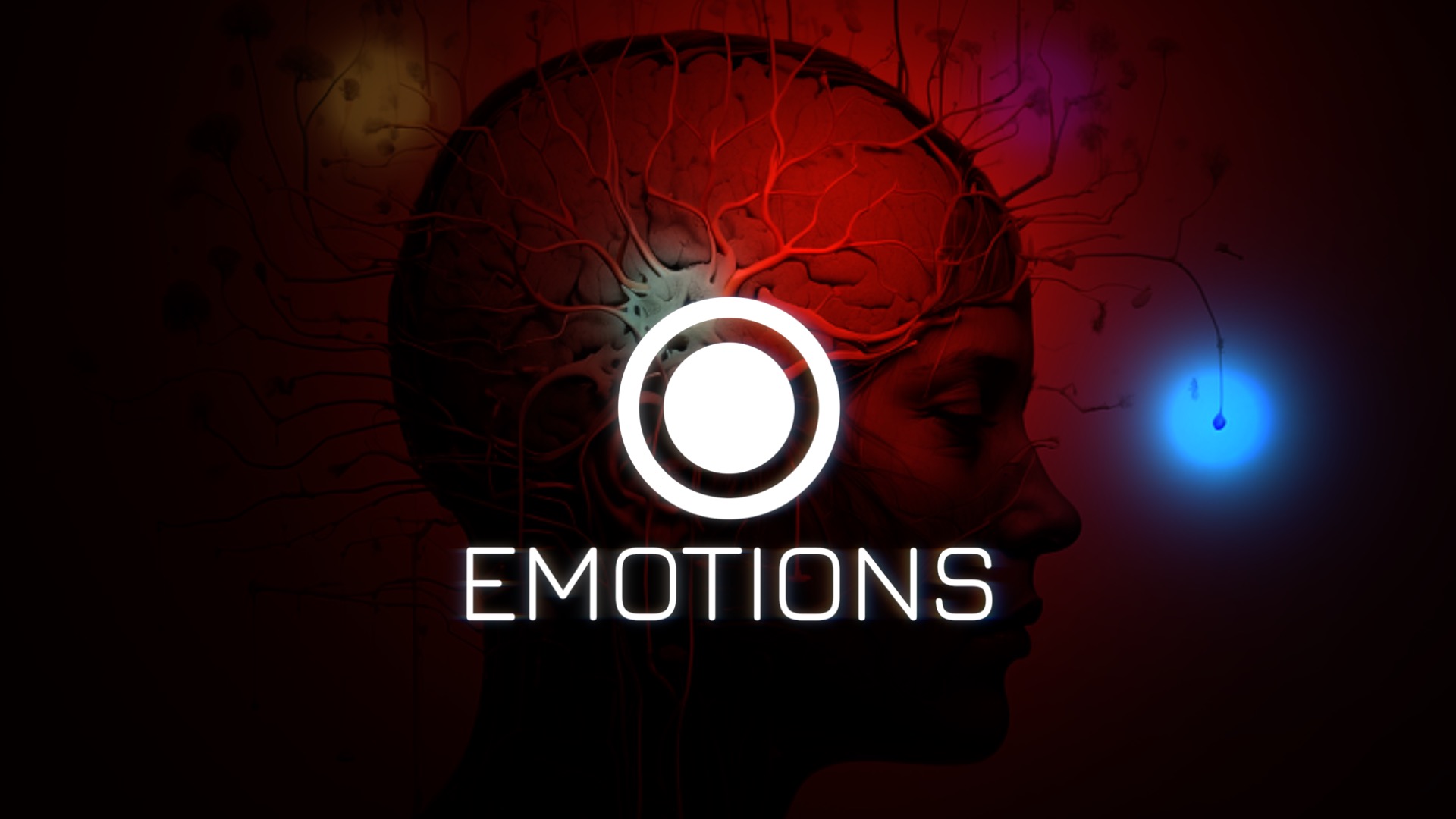 Susan Ibitz - Motion Design · Video Post-Production